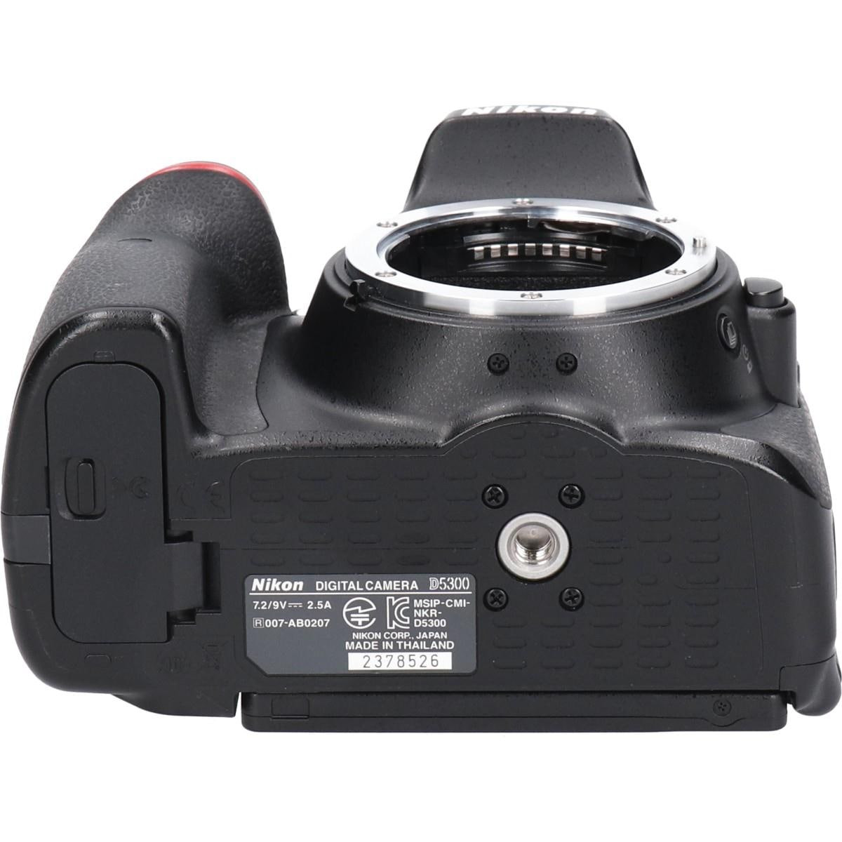 Ｄ５３００