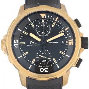 IWC アクアタイマークロノエクスペディション チャールズ･ダーウィン" IW379503 ブロンズ 自動巻