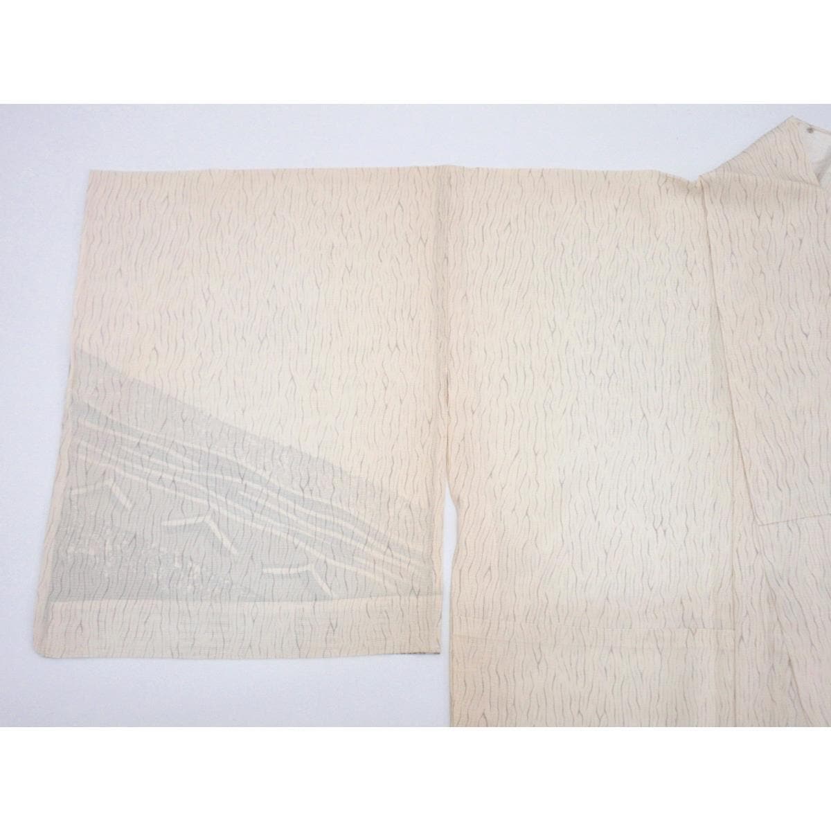 【未使用品】単衣　駒絽訪問着　友禅加工