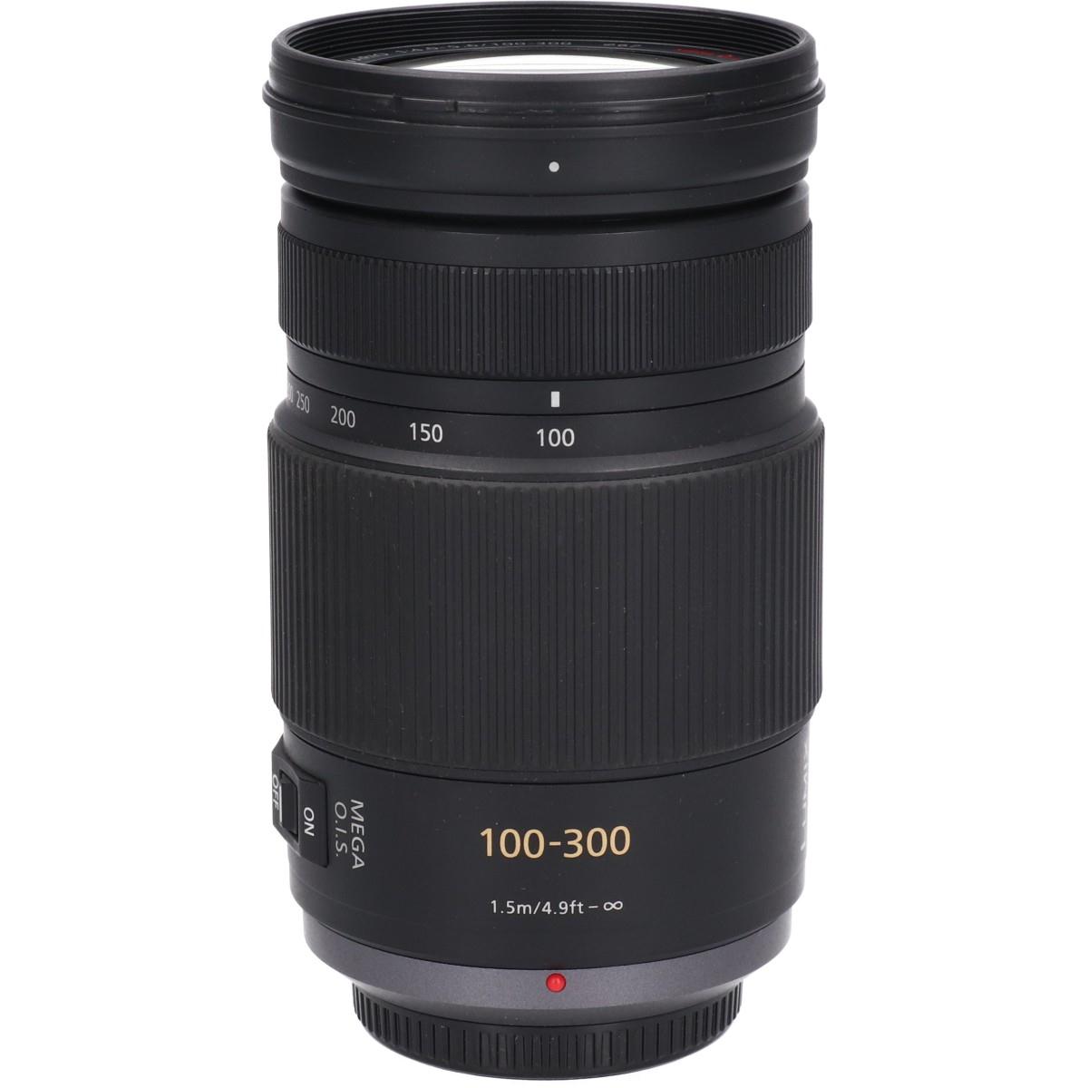 G100-300mm F4-5.6MEG OIS