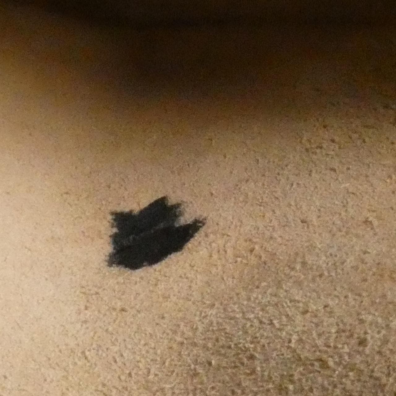 グッチ GG MARMONT 448065 DTD1T ショルダーバッグ