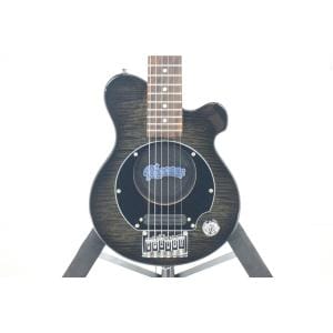 ＰＩＧＮＯＳＥ　　ＰＧＧ－２００ＦＭ