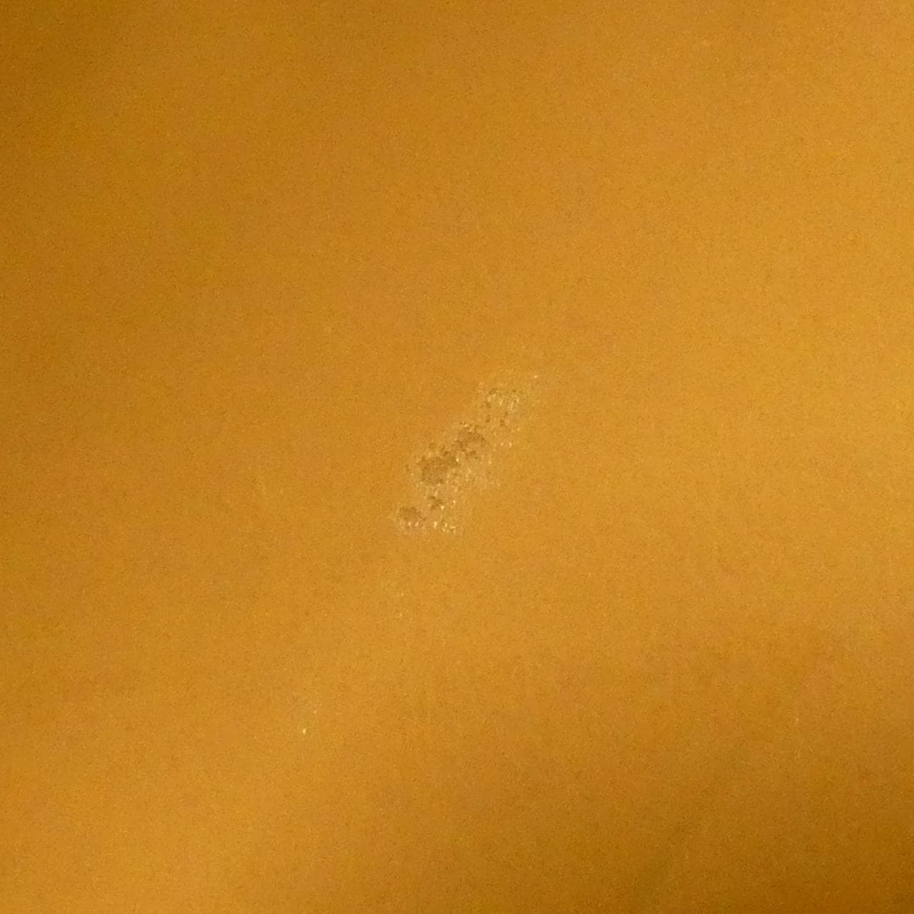 セリーヌ バッグ