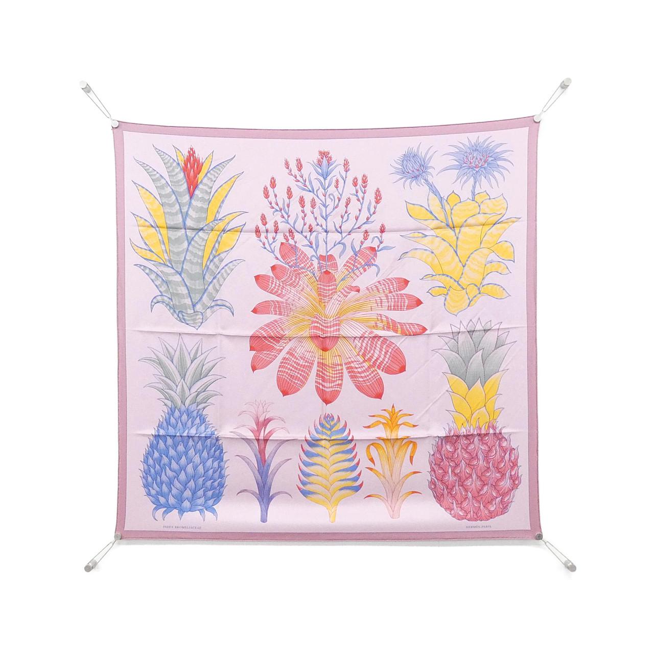 HERMES INDEX BROMELIACEAE Carre Scarf