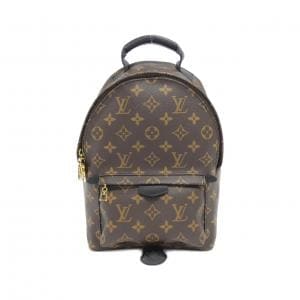 LOUIS VUITTON Monogram Palm Springs Backpack PM M41560 Rucksack