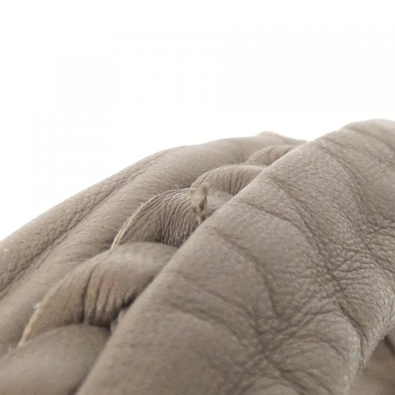 ボッテガヴェネタ 115653 V0016 ショルダーバッグ