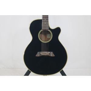 ＴＡＫＡＭＩＮＥ　　ＰＴ－１０６