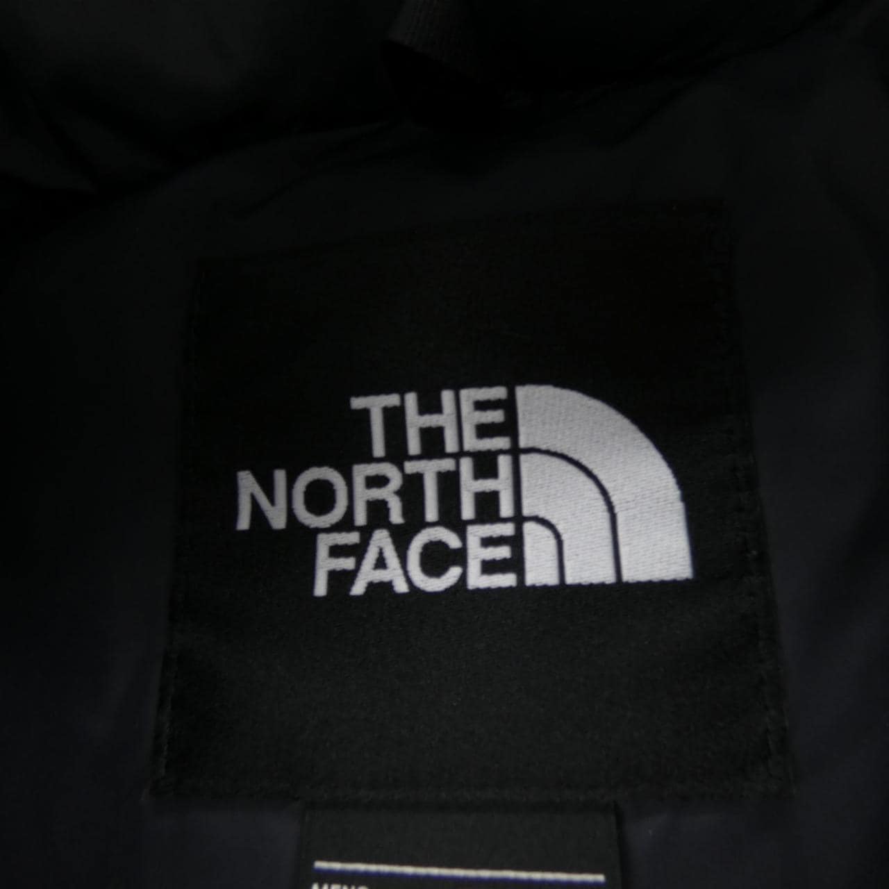 The North Face NF0A3C8D Down Jacket