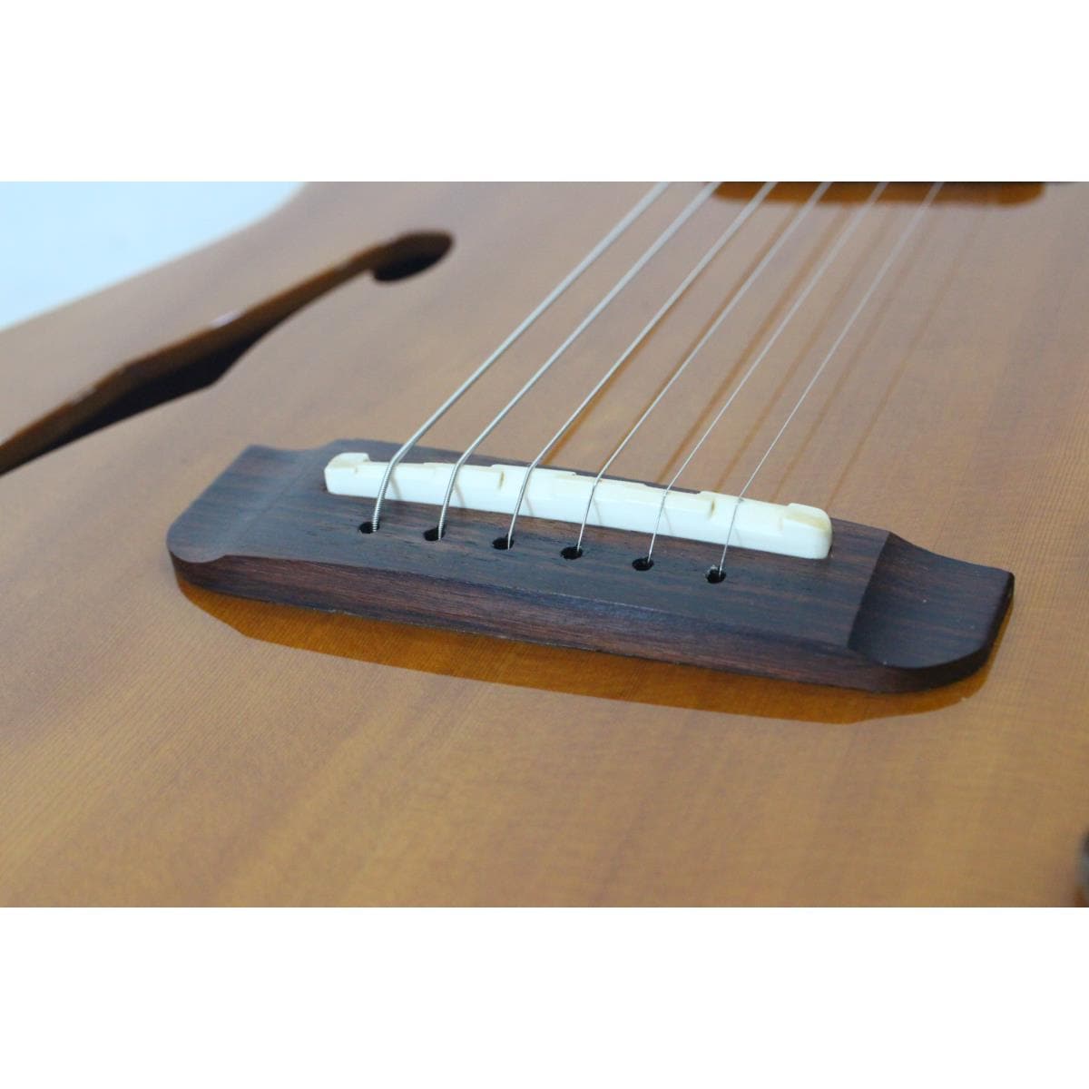 FENDER JAPAN TLAC-950