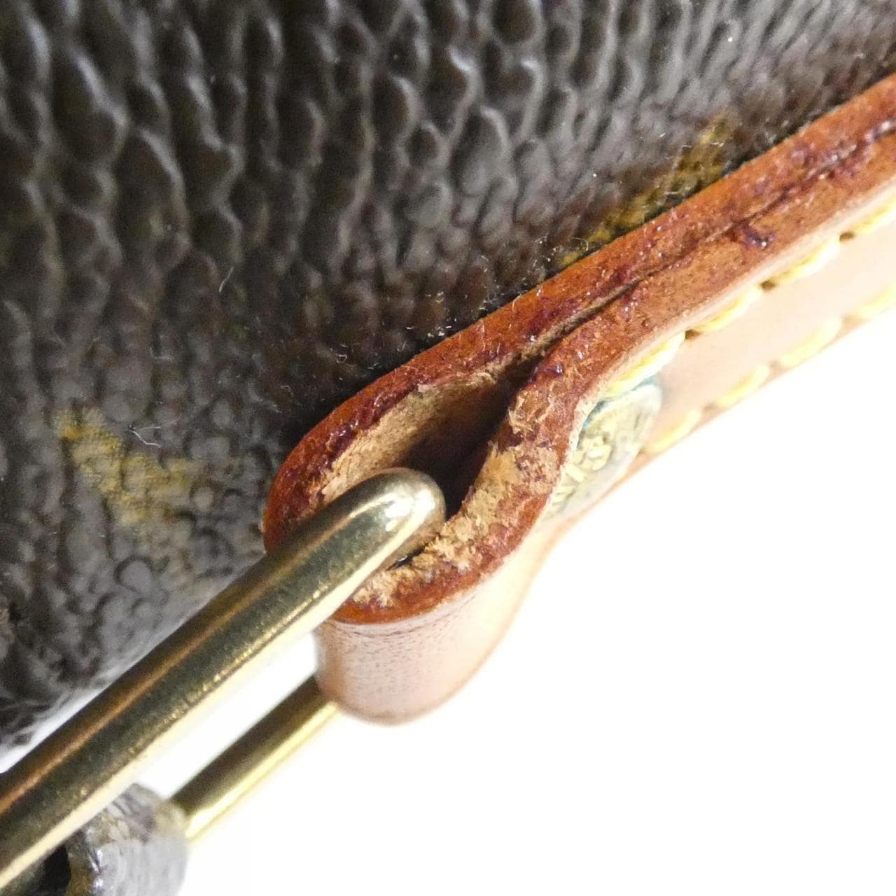 LOUIS VUITTON Monogram Danube M45266 單肩包