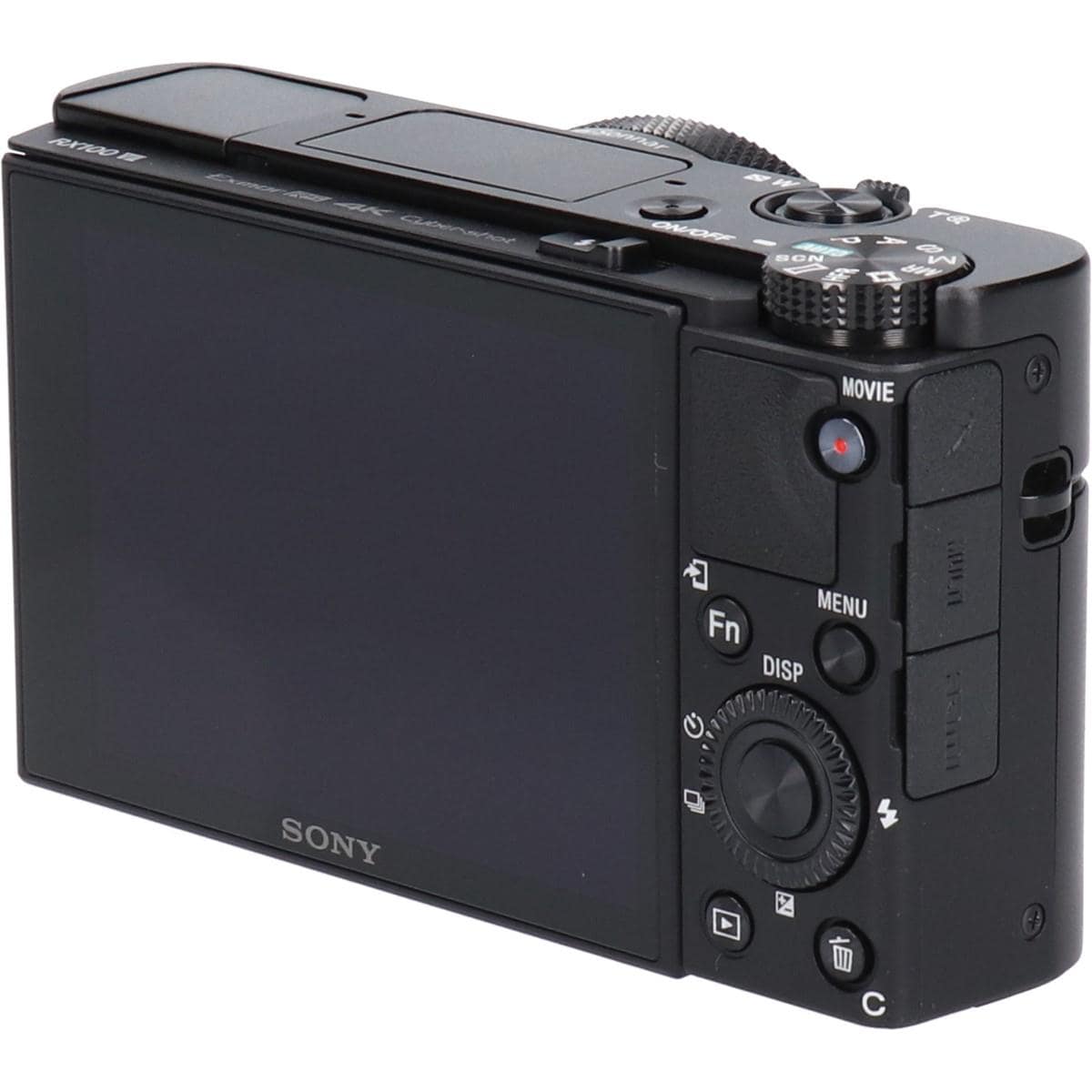 ＤＳＣ－ＲＸ１００Ｍ７