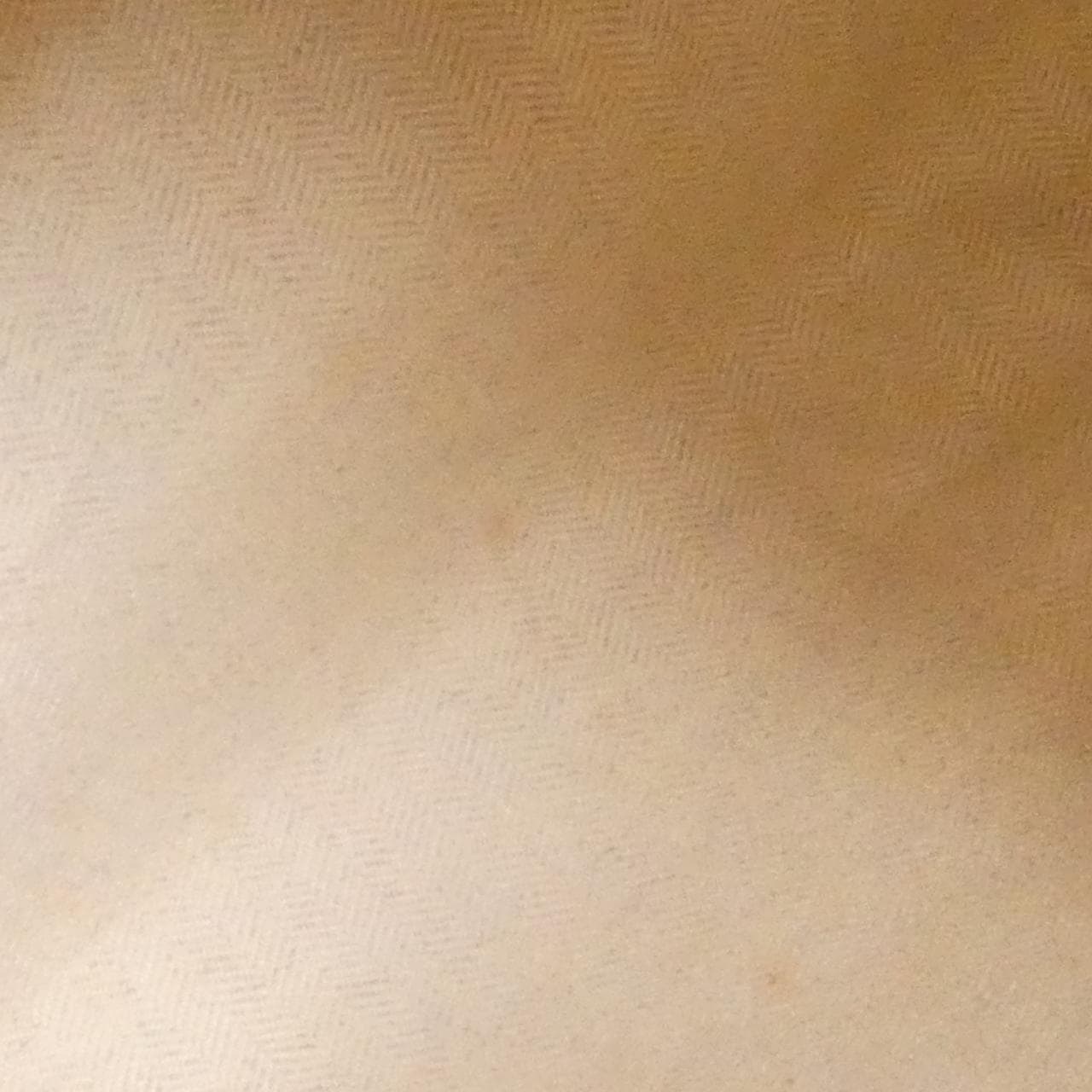 ロエベ アントン ショルダーバッグ