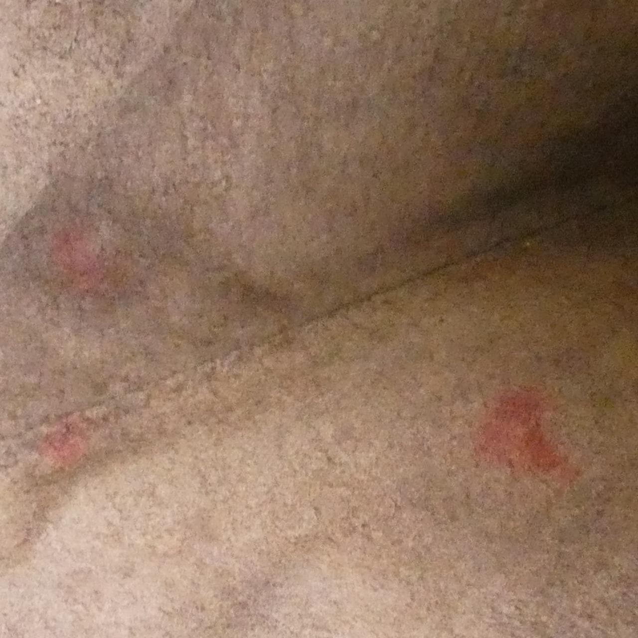 ボッテガヴェネタ 115654 V0016 ショルダーバッグ