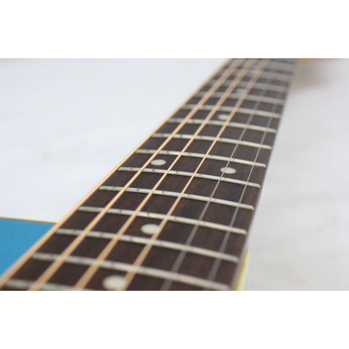 ＦＥＮＤＥＲ　　ＳＯＮＯＲＡＮ　ＳＣＥ