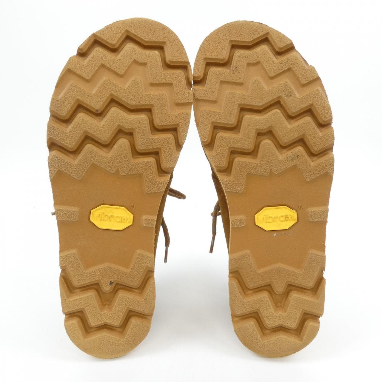 Clarks Desert Trek GTX Shoes