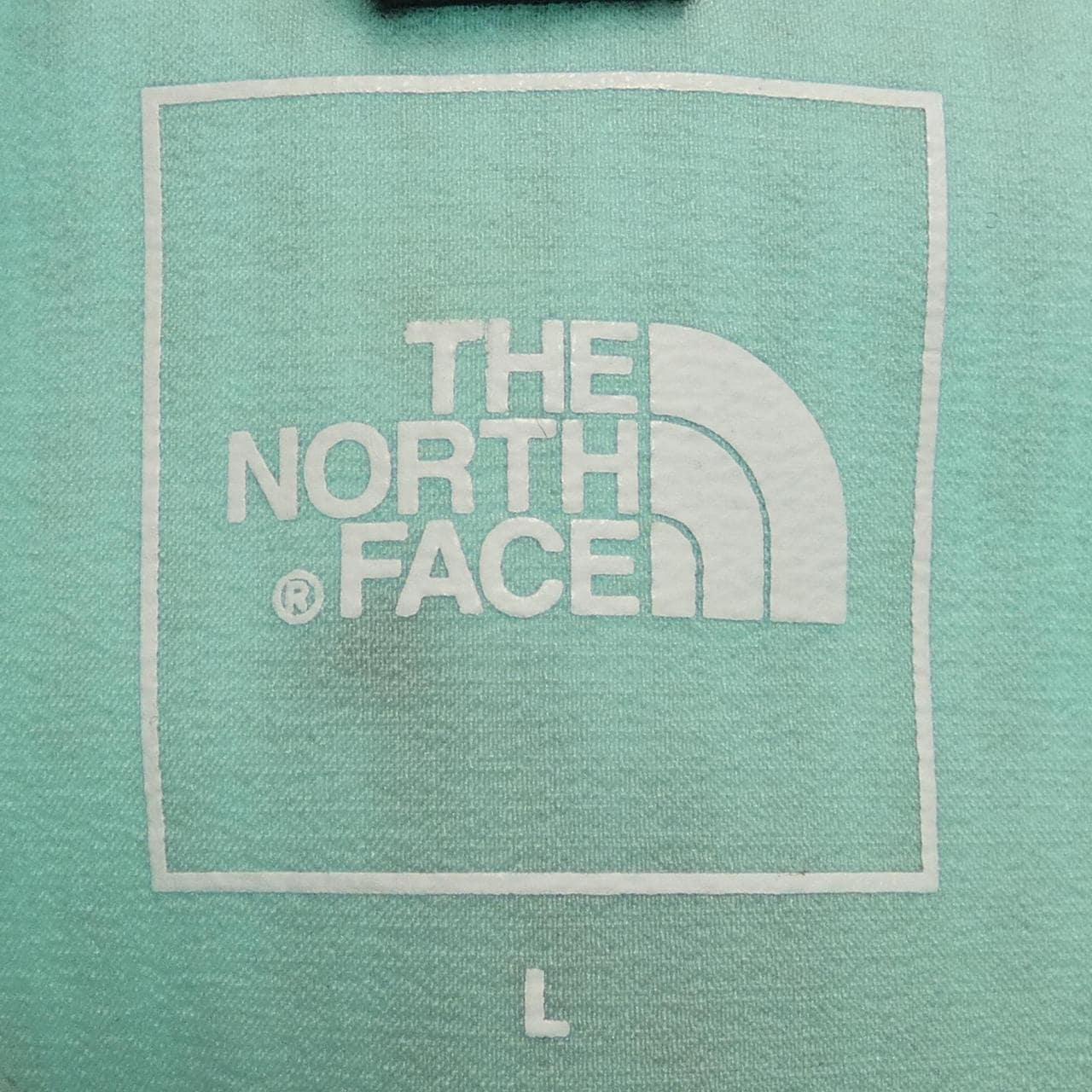 ザノースフェイス THE NORTH FACE NPW12306 ブルゾン