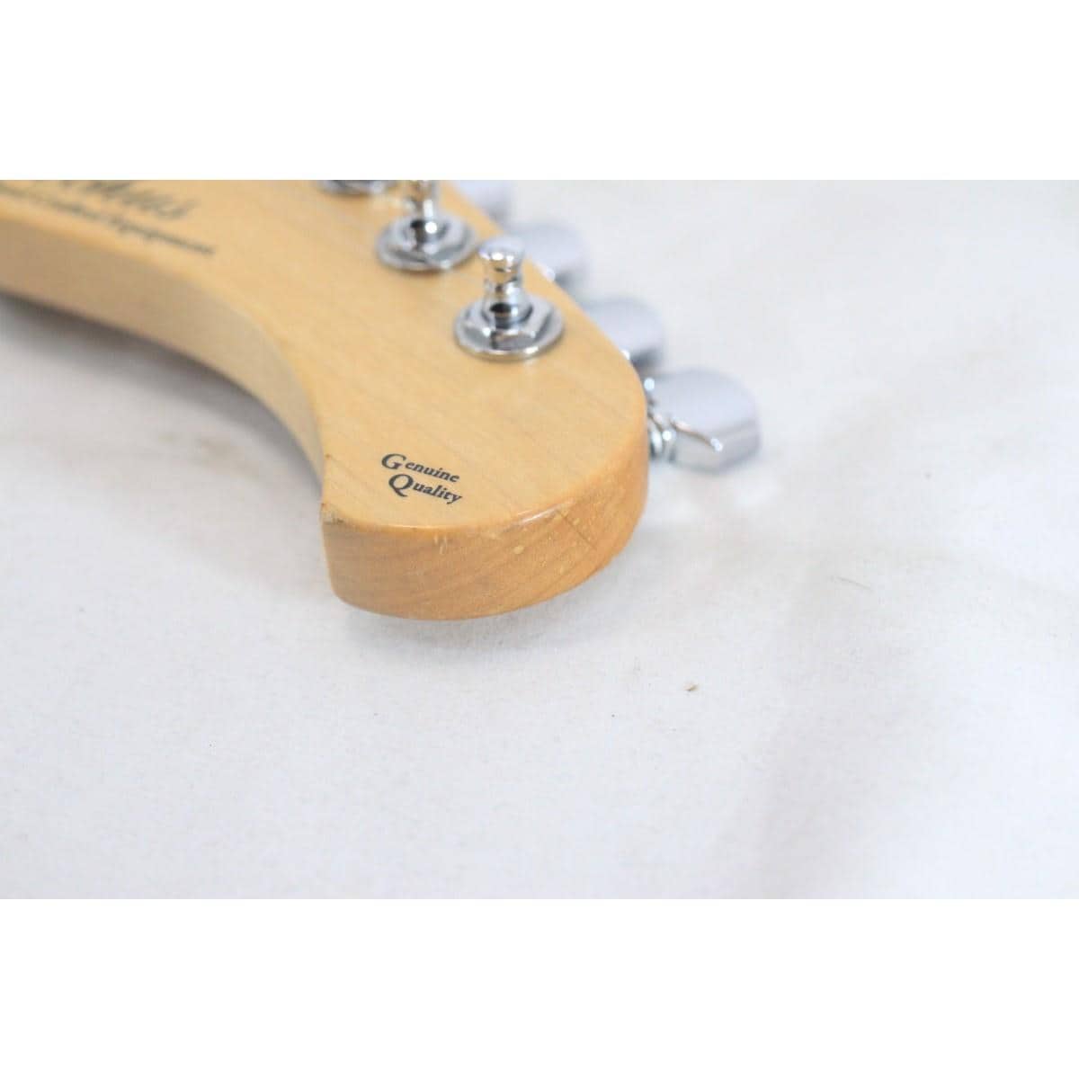 ＢＡＣＣＨＵＳ　　ＷＩＮＤＹ