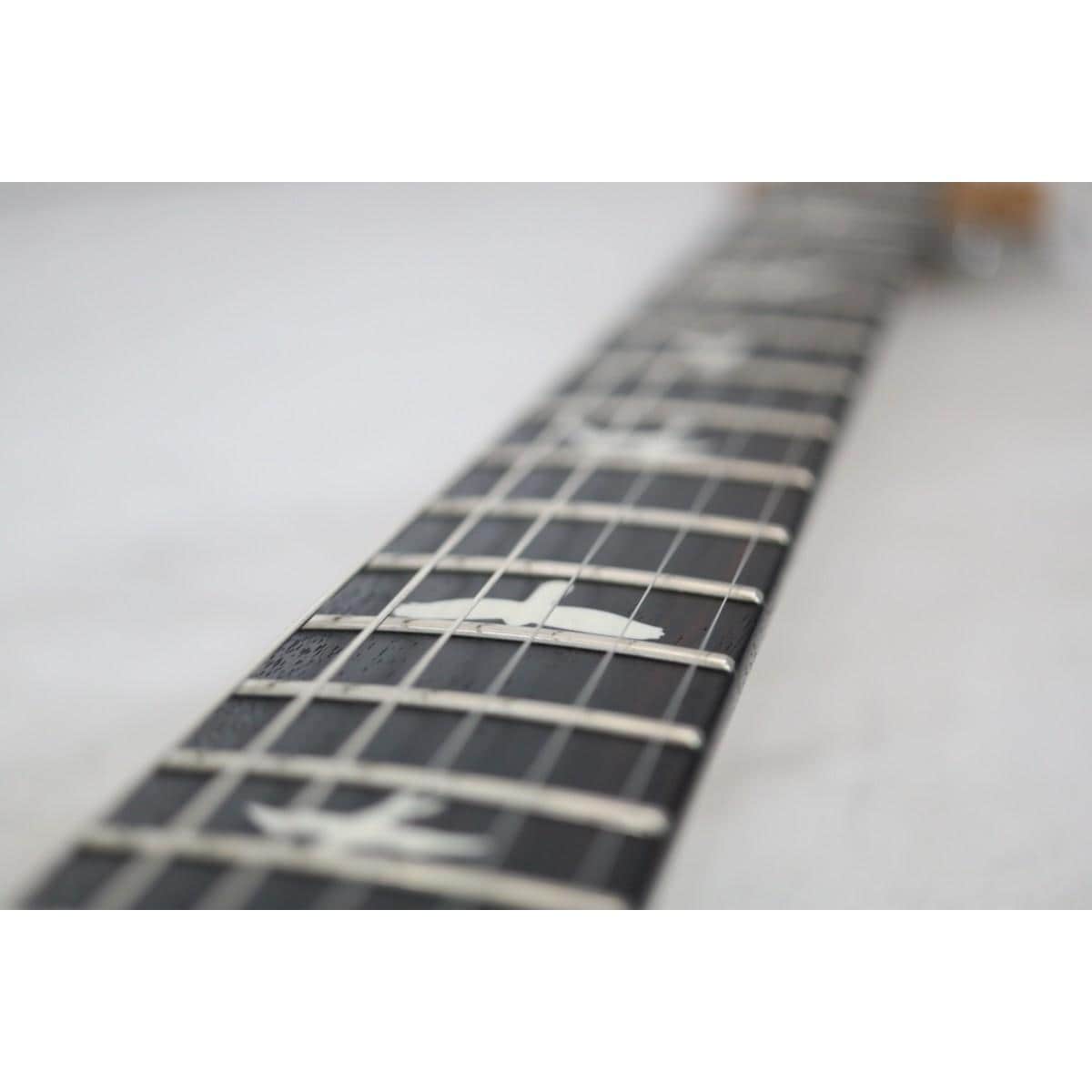 ＰＡＵＬ　ＲＥＥＤ　ＳＭＩＴＨ　　ＣＥ２４　ＭＡＨＯＧＡＮＹ