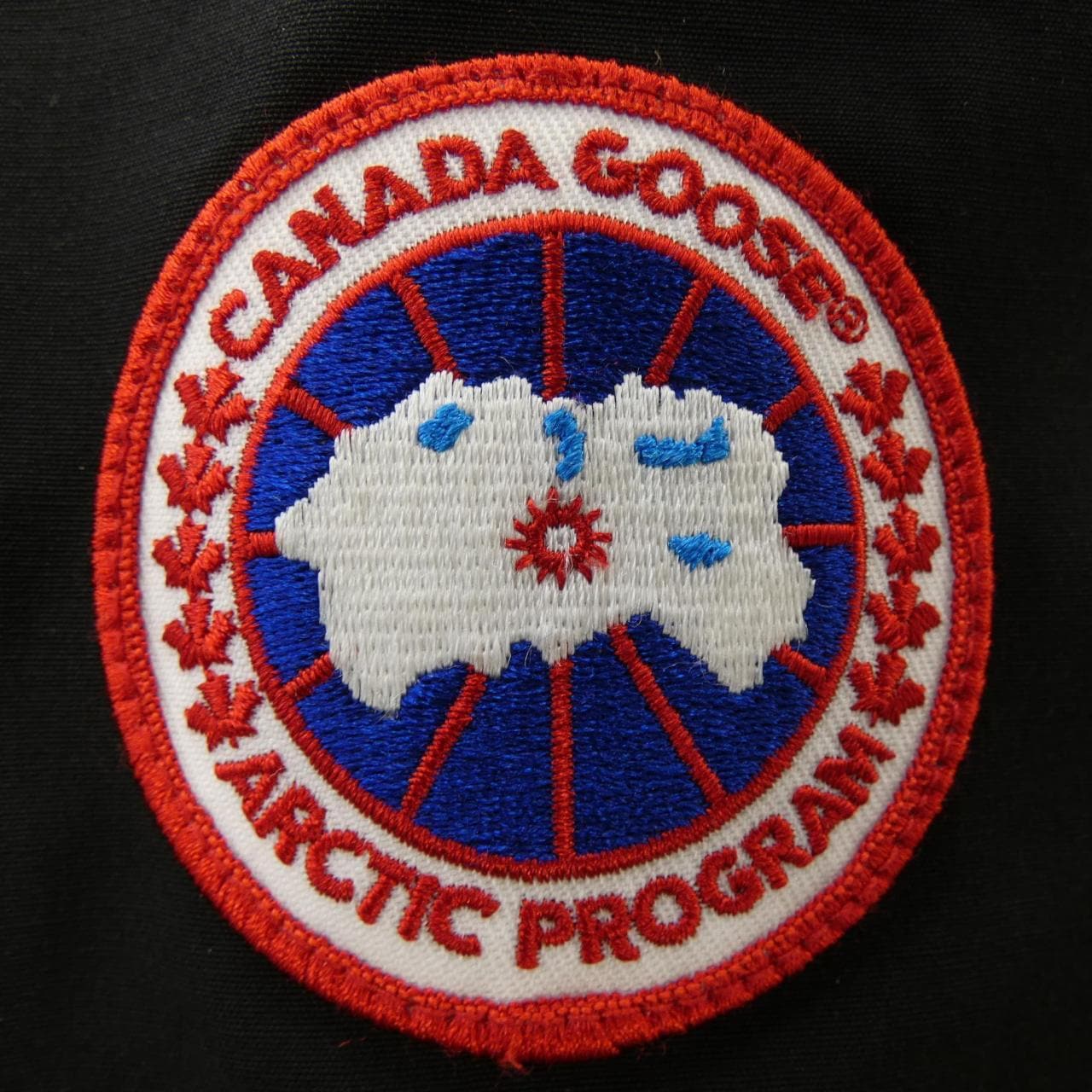 Canada goose CANADA GOOSE down jacket