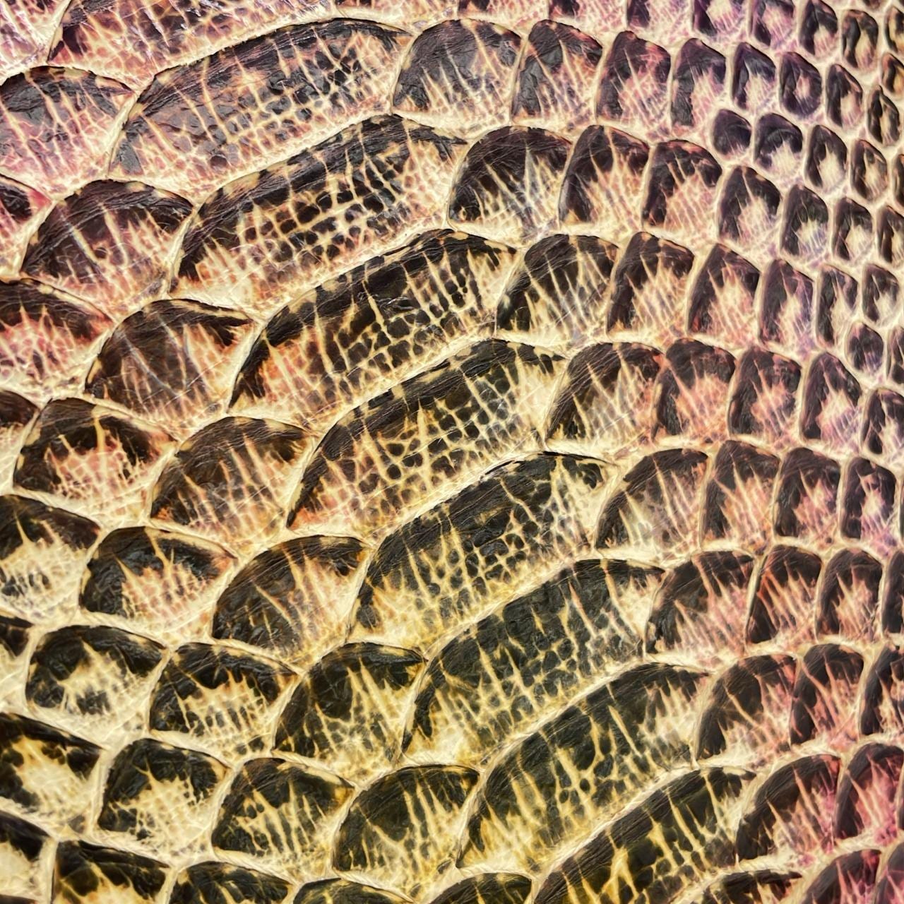 ルイヴィトン エキゾチックレザー LVアーク N97351 バッグ