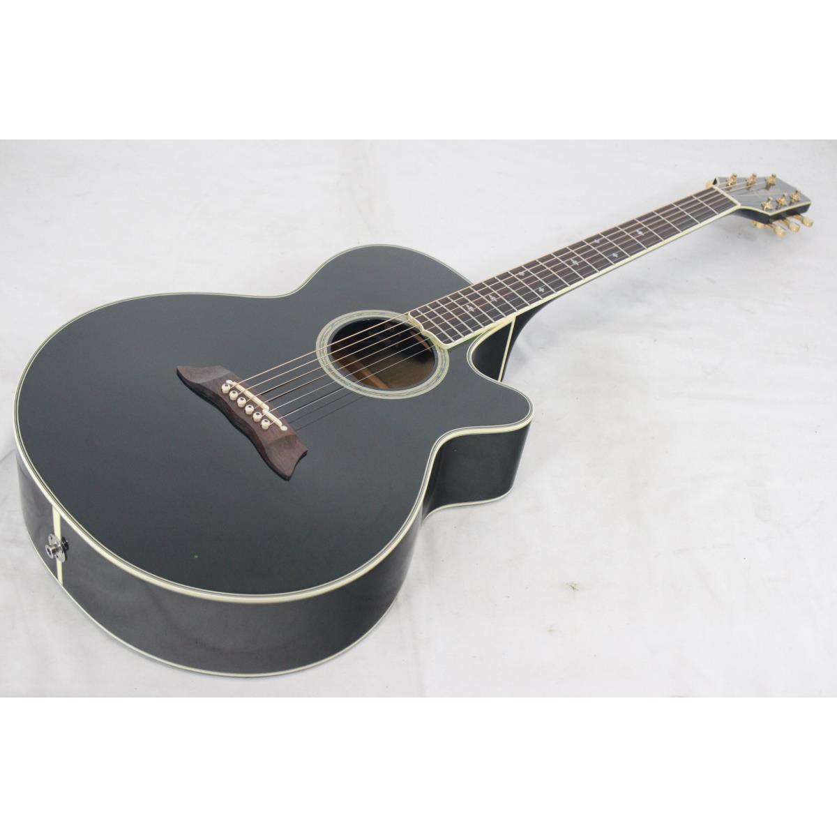 TAKAMINE NPT-110