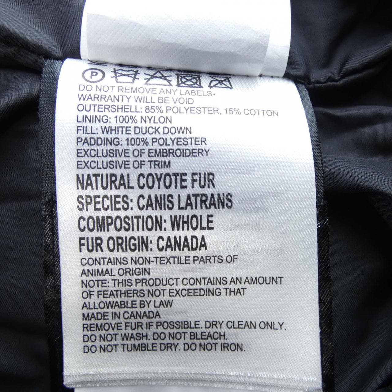 Canada goose CANADA GOOSE down jacket