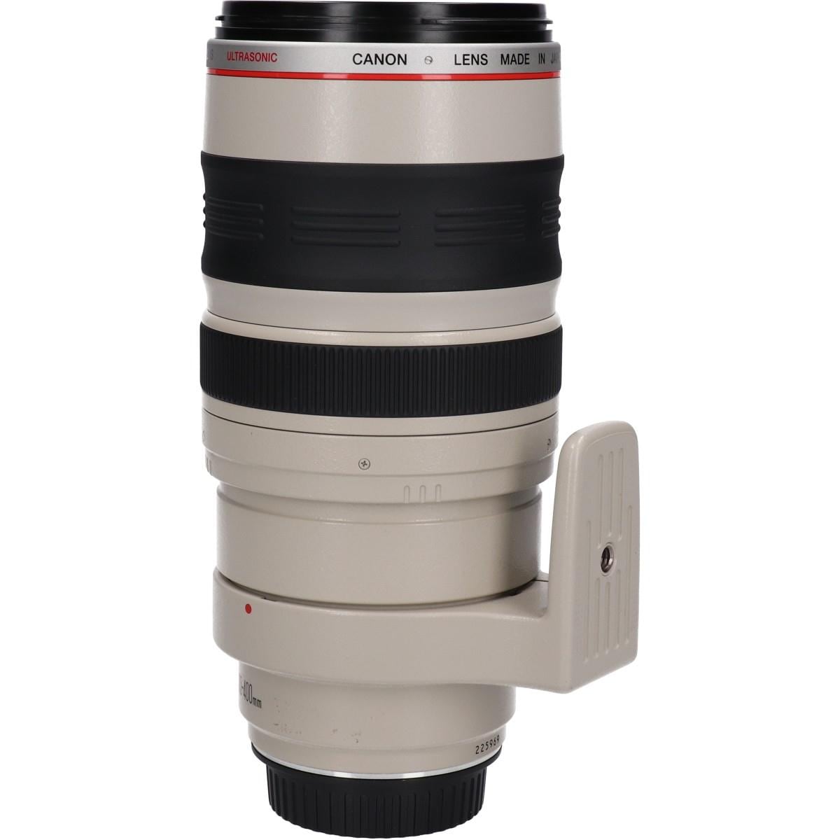 EF100-400mm F4.5-5.6L IS USM