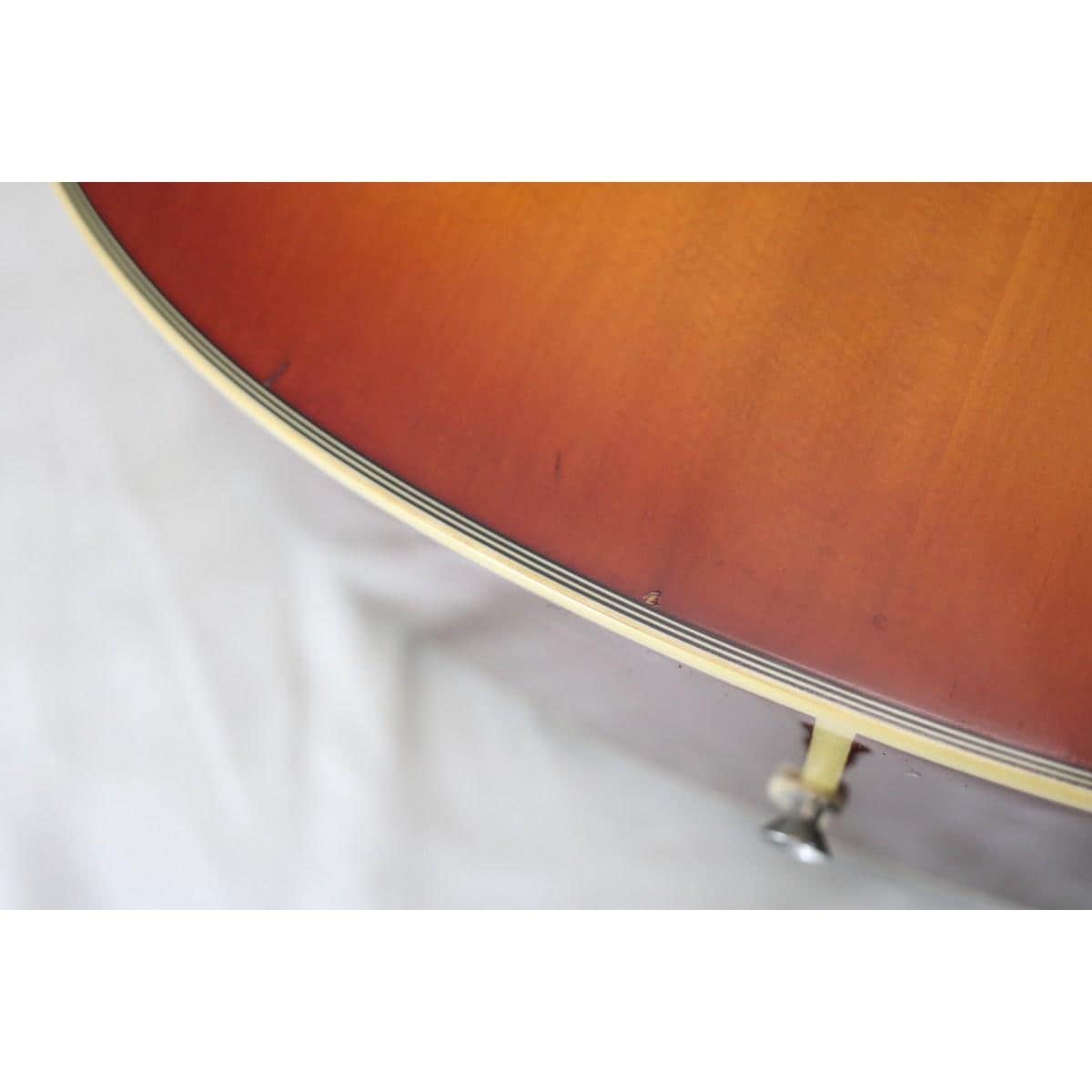 ＥＰＩＰＨＯＮＥ　ＨＵＭＭＩＮＧＢＩＲＤ