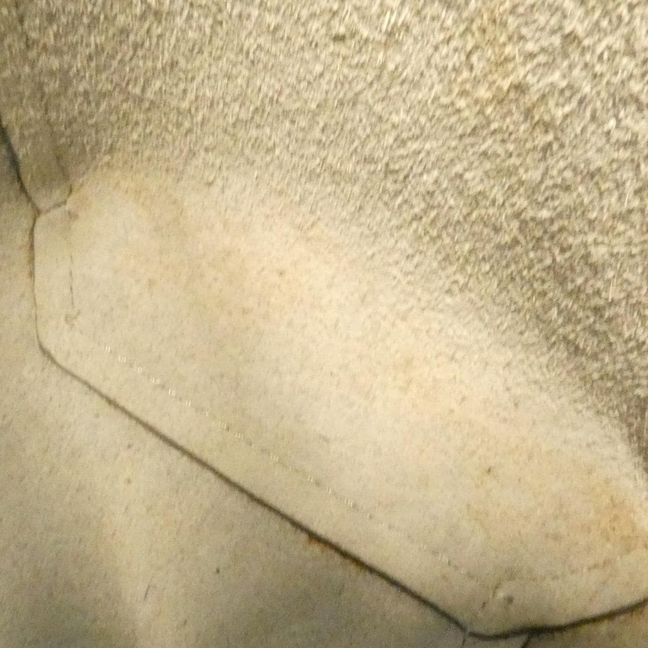 セリーヌ ナノ ベルト 189003ZVA バッグ