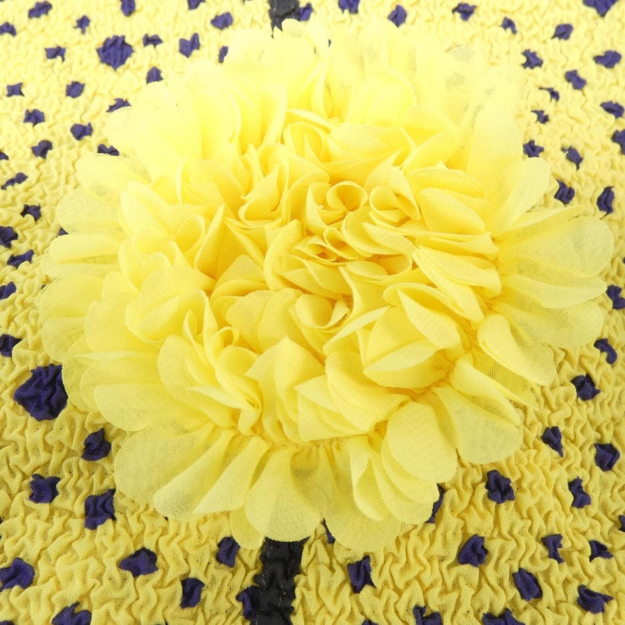 NOKO OHNO ジャケット