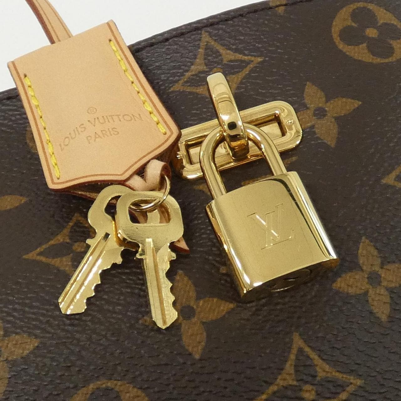 LOUIS VUITTON Monogram Gaia M41726 单肩包