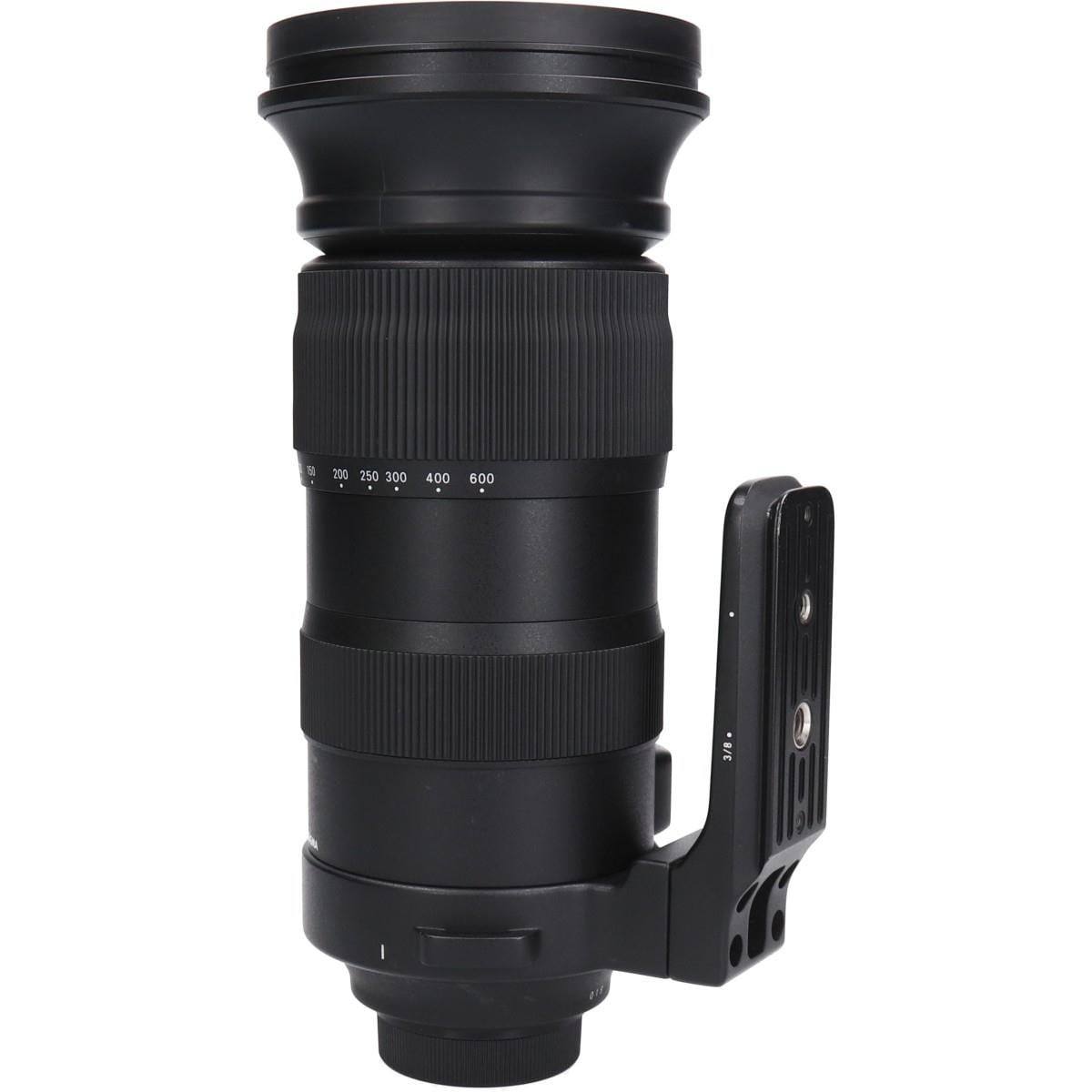 ニコン６０－６００ｍｍ　Ｆ４．５－６．３ＤＧ　ＯＳ（Ｓ）