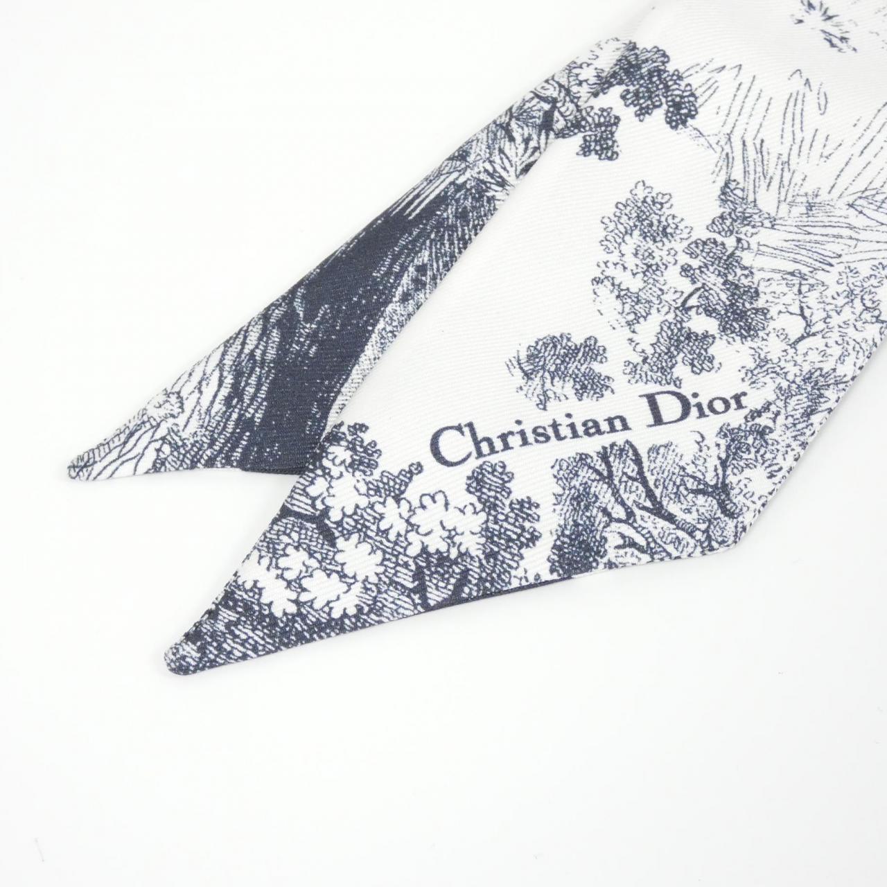 Christian DIOR TOILE DE JOUY SAUVAGE 15JOU106I602 围巾