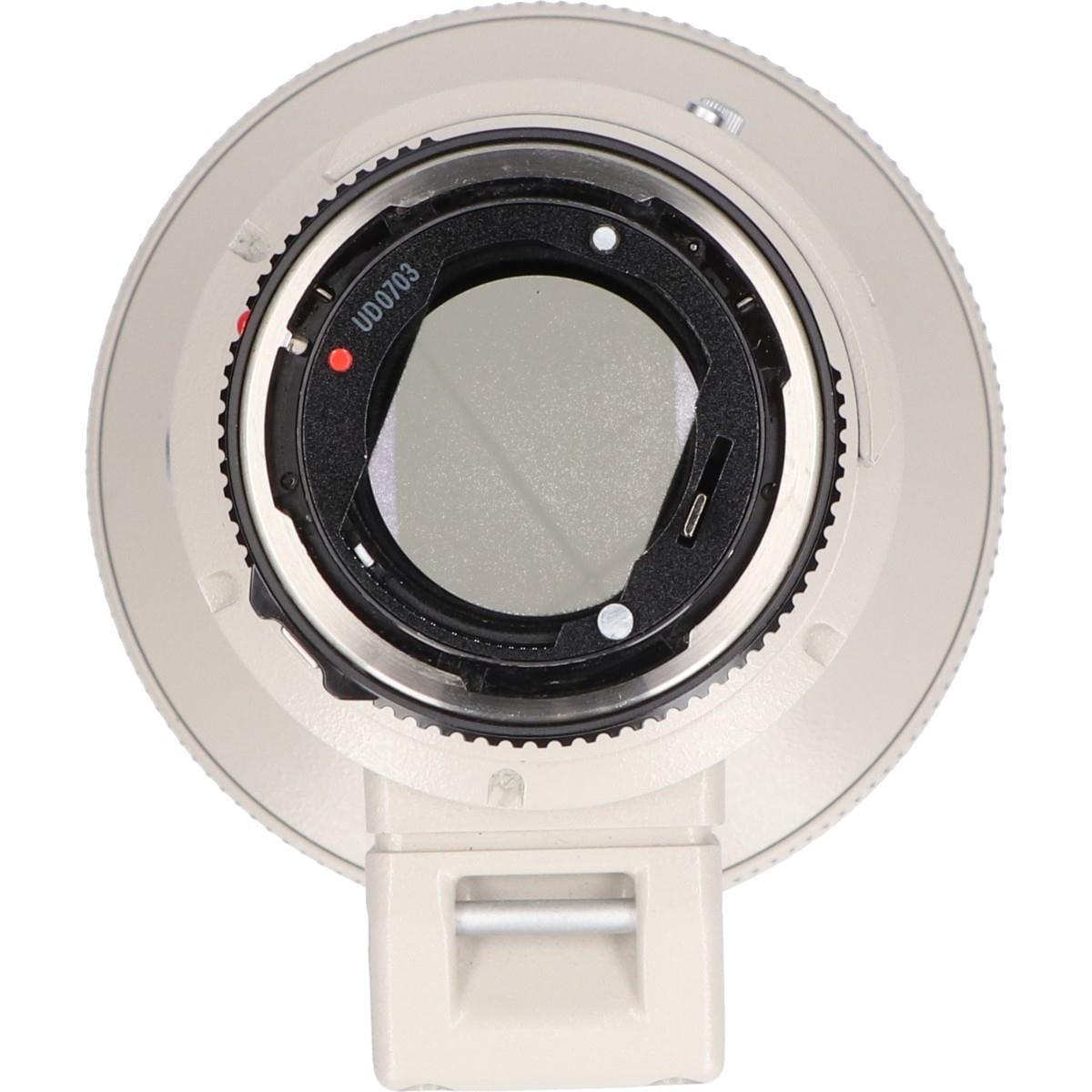ＮＥＷ　ＦＤ３００ｍｍ　Ｆ２．８Ｌ