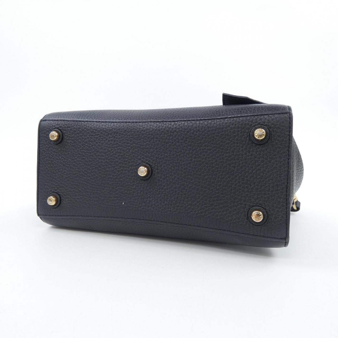 ココセリュクスゴールド COCOCELUX GOLD BAG