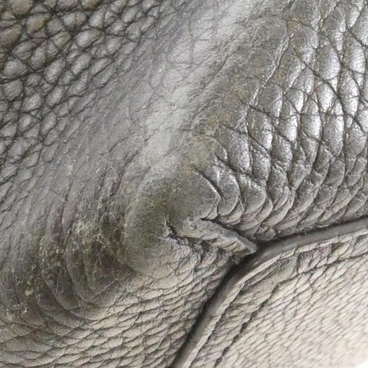 ルイヴィトン トリヨン カバ ヴォワヤージュ M52817 バッグ