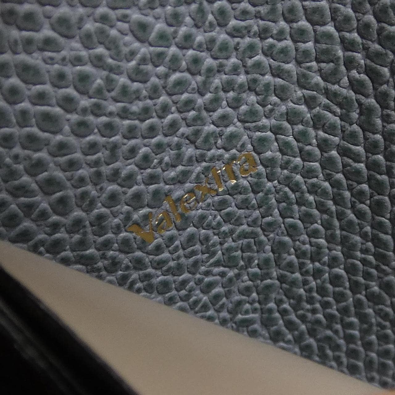 瓦莱克斯特拉VALEXTRA COIN CASE