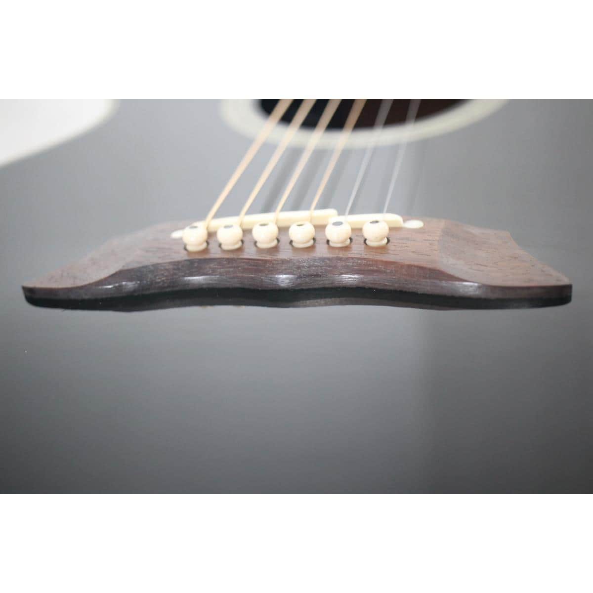 TAKAMINE NPT-110