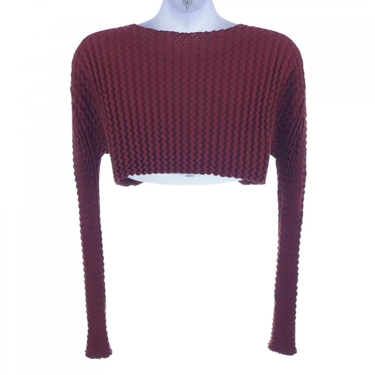 イッセイミヤケ ISSEY MIYAKE IM33KN265 トップス