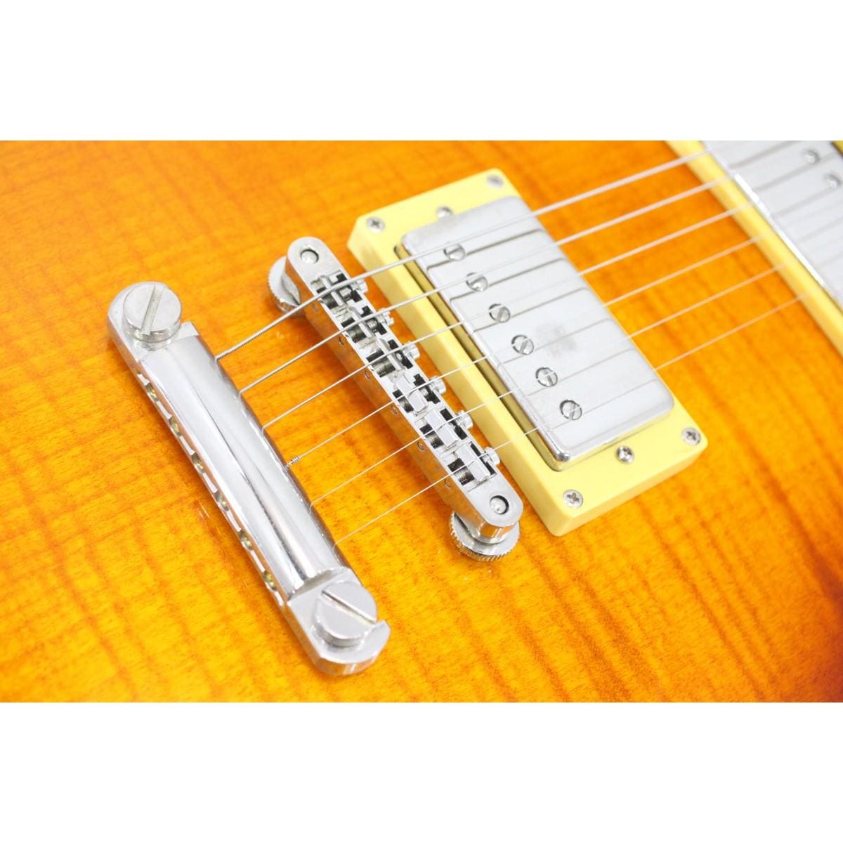ＧＵＩＬＤ　　ＢＬＵＥＳＢＩＲＤ