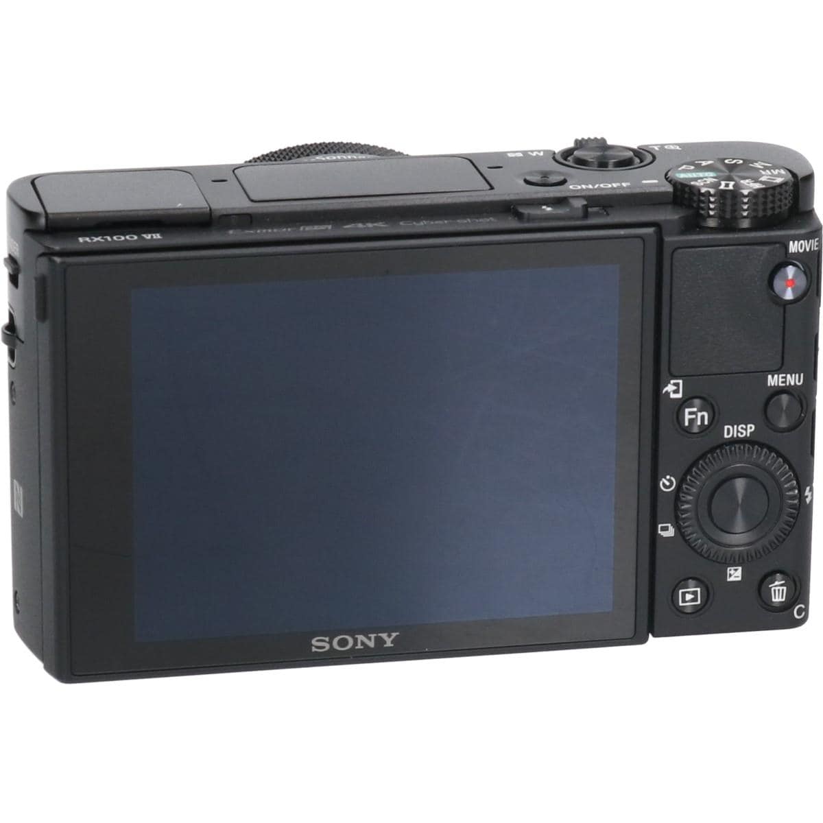 ＤＳＣ－ＲＸ１００Ｍ７