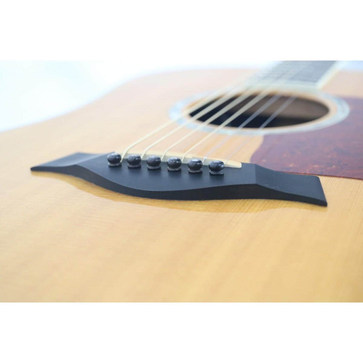 ＴＡＹＬＯＲ　　ＣＵＳＴＯＭ　ＤＮ