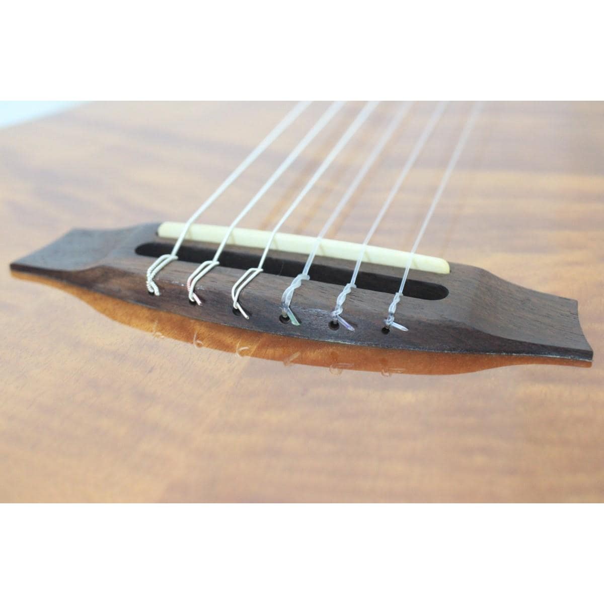 ＣＯＲＤＯＢＡ　ＳＴＡＧＥ