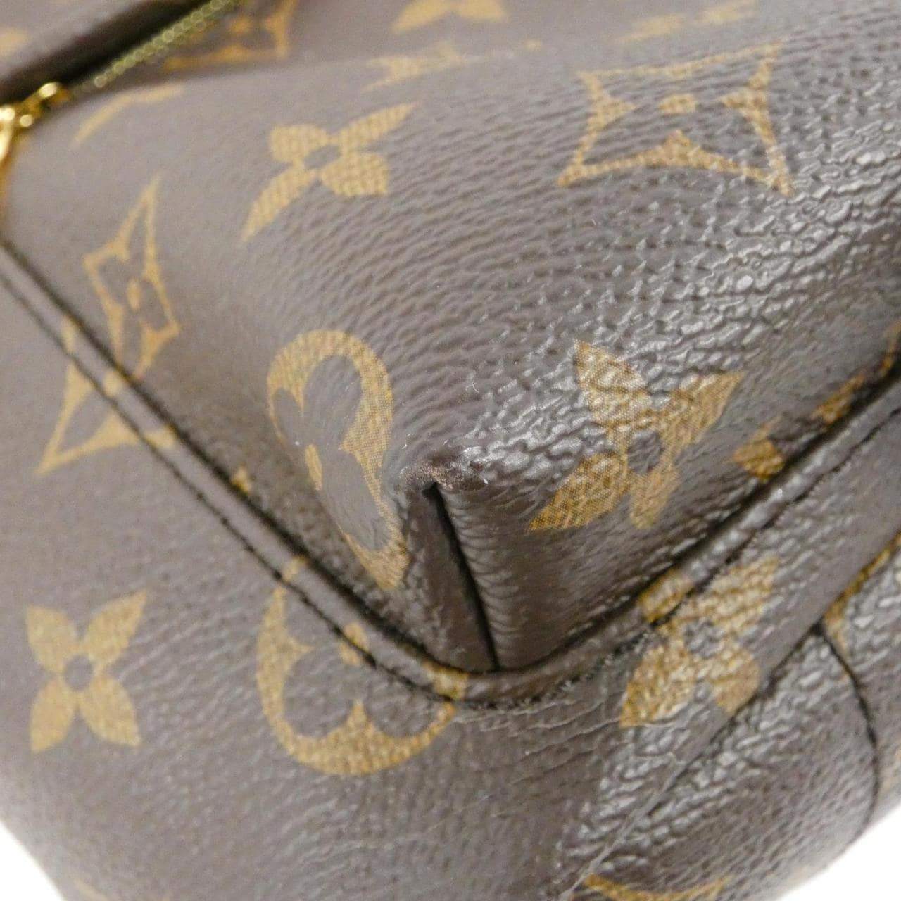 LOUIS VUITTON Monogram Palm Springs Backpack PM M44871 Rucksack