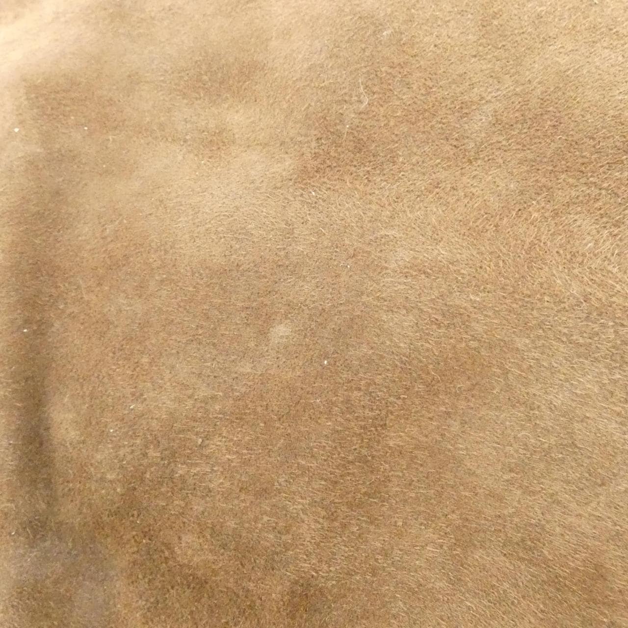 ミュウミュウ 5BG303 ショルダーバッグ