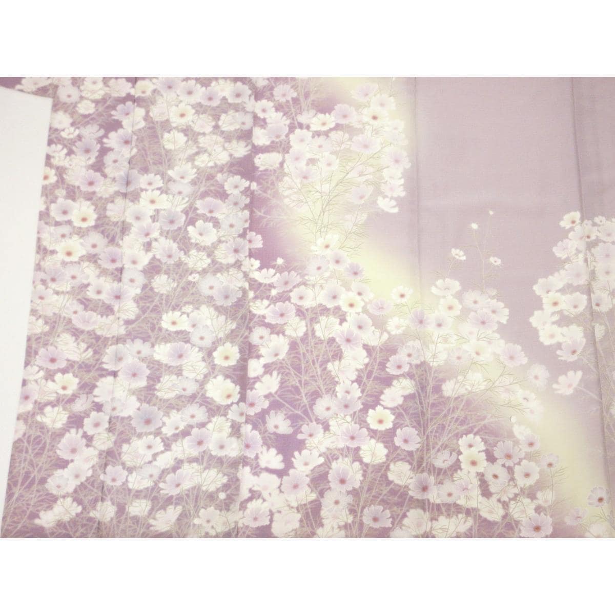 単衣　訪問着　友禅加工ボカシ染