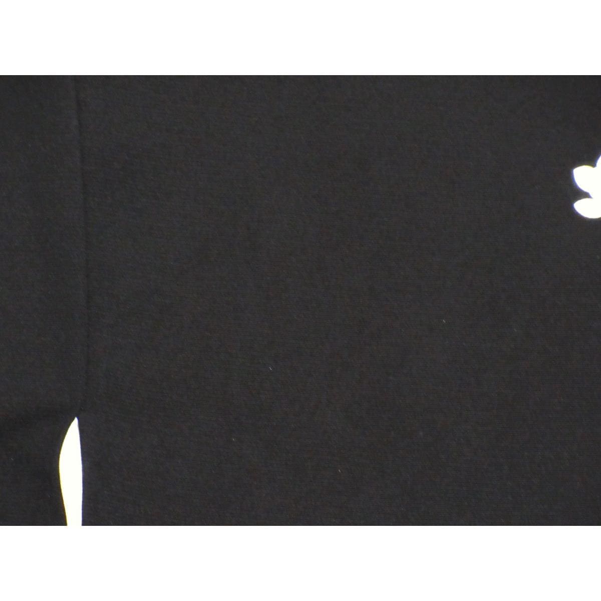 留袖　友禅金彩加工　刺繍入り　橘