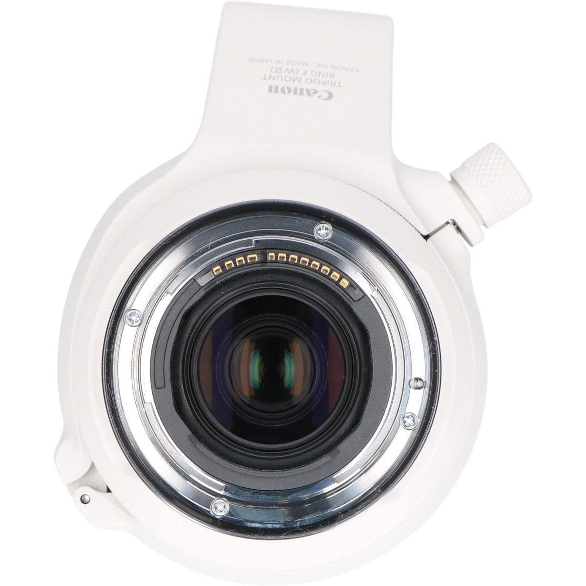 ＲＦ１００－５００ｍｍ　Ｆ４．５－７．１Ｌ　ＩＳ　ＵＳＭ