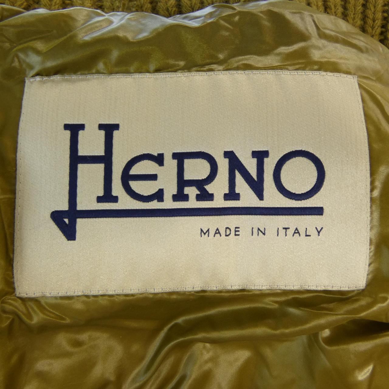 Herno PI001583D Down Jacket