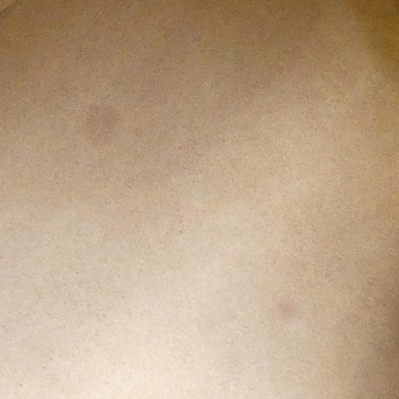 セリーヌ スモール ビッグバッグ 189313A4U バッグ